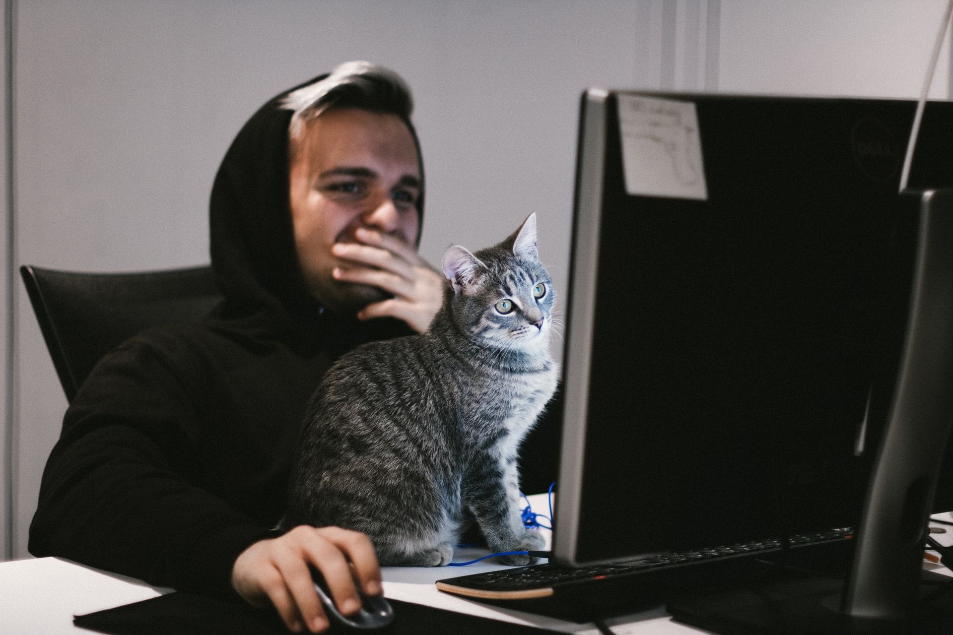 Как объективно определить свой уровень английского? Шкалы CEFR, ILR и GSE 1