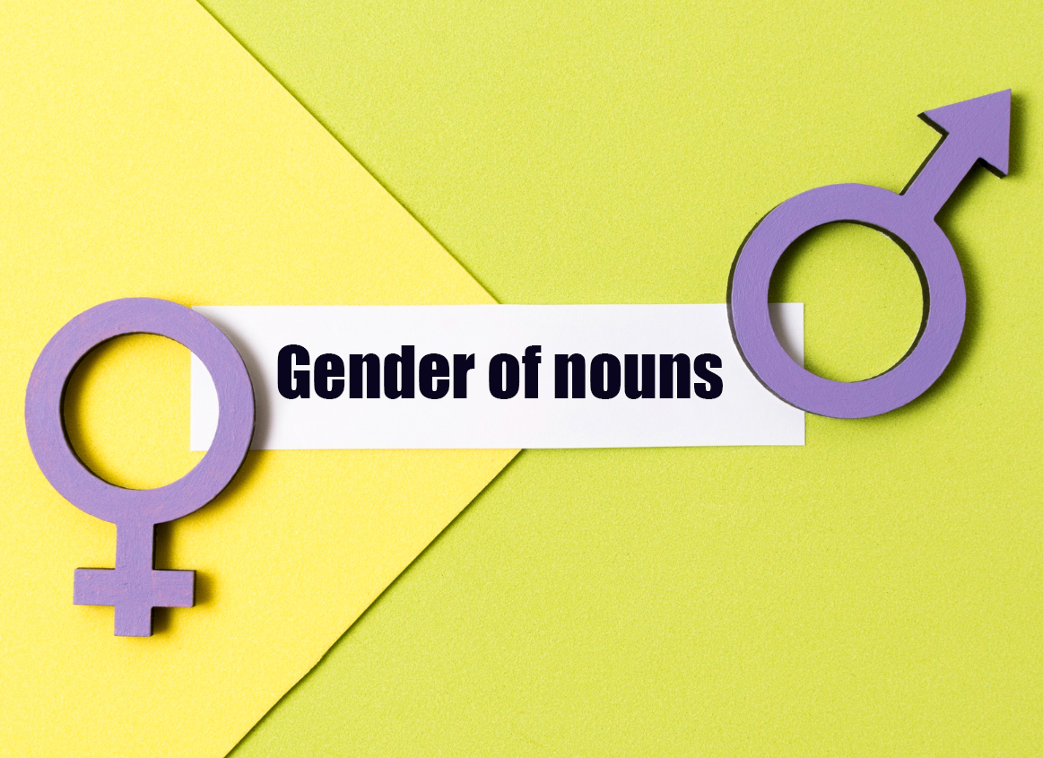 Род существительных в английском языке