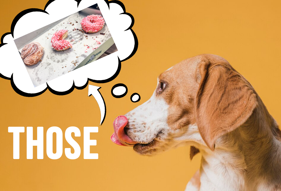 Указательные местоимения в английском: this, that, these, those