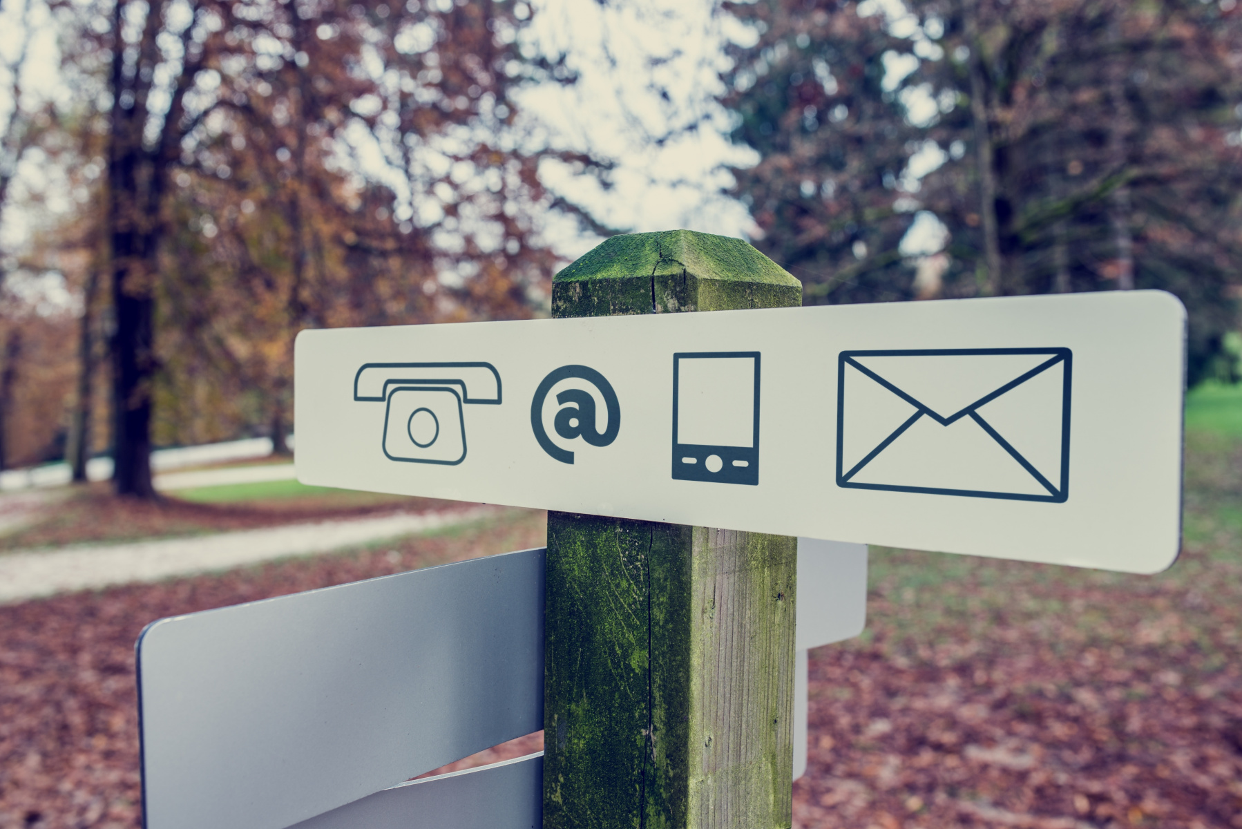 contact-signboard-in-an-autumn-park.jpg